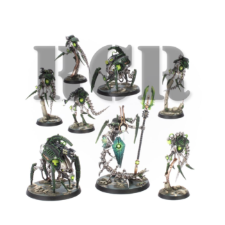 NECRONS: KILL TEAM CANOPTEK CIRCLE (RCR)
