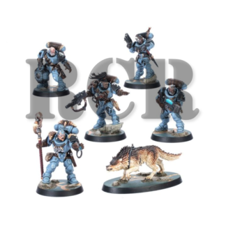 SPACE WOLVES: KILL TEAM WOLF SCOUTS (RCR)