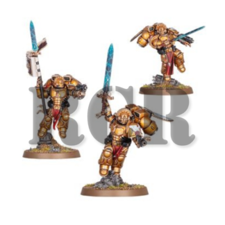BLOOD ANGELS: SANGUINARY GUARD (RCR)