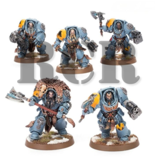 SPACE WOLVES: WOLF GUARD TERMINATORS (RCR)