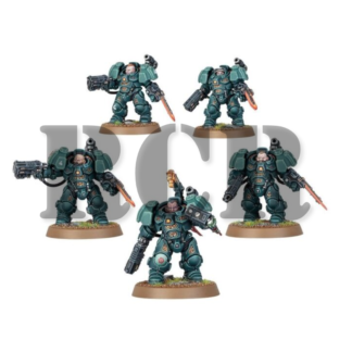 LEAGUES OF VOTANN: EINHYR HEARTHGUARD (RCR)