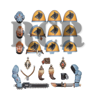 SPACE WOLVES: UPGRADES (RCR)