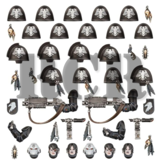 RAVEN GUARD: UPGRADES (RCR)